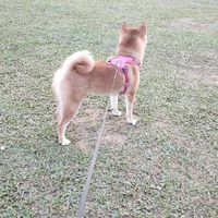 測試