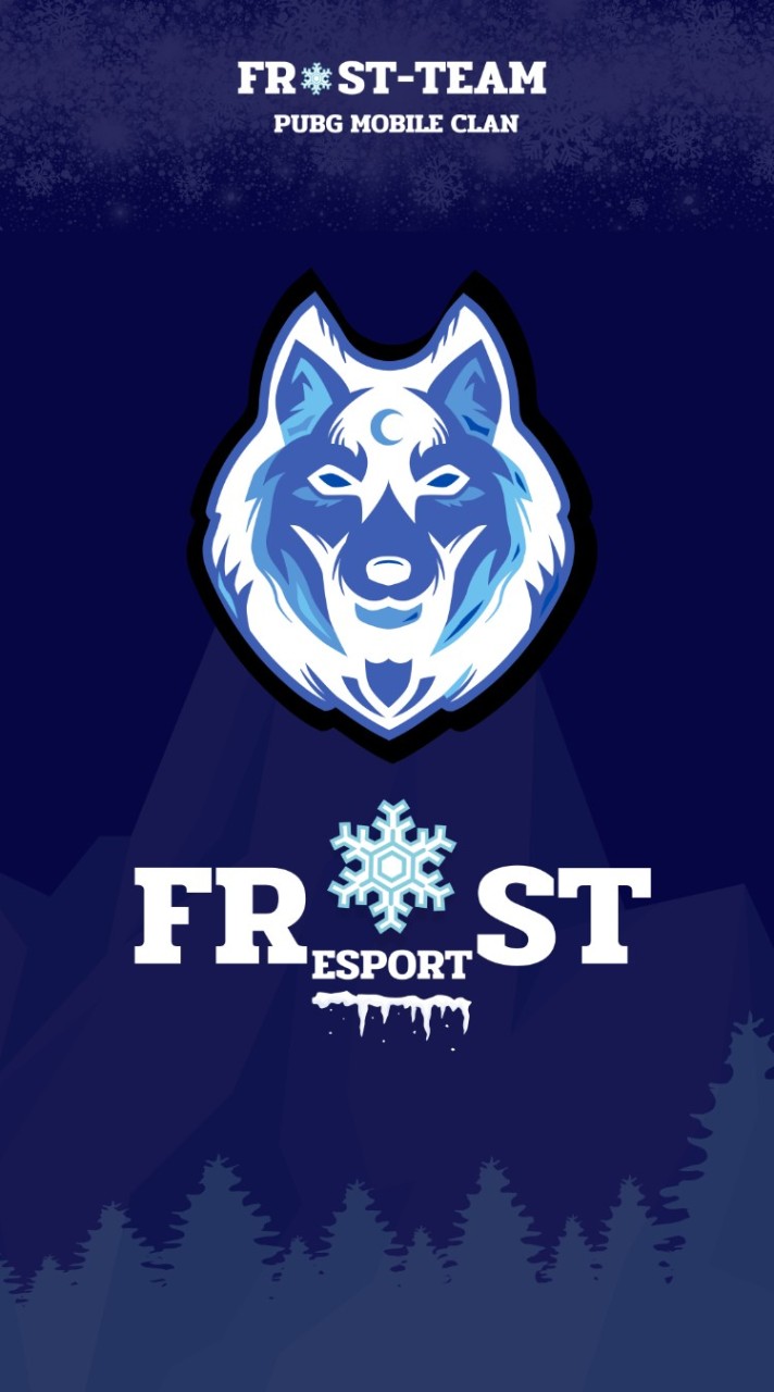 FROST`Esport