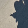 実写コラボしちゃお⋆꙳𝜗𝜚꙳.*‬