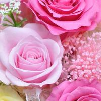 50歳以上の楽しくワイワイする部屋です（女性限定）