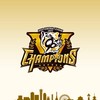 プロスピA阪神純正🐯