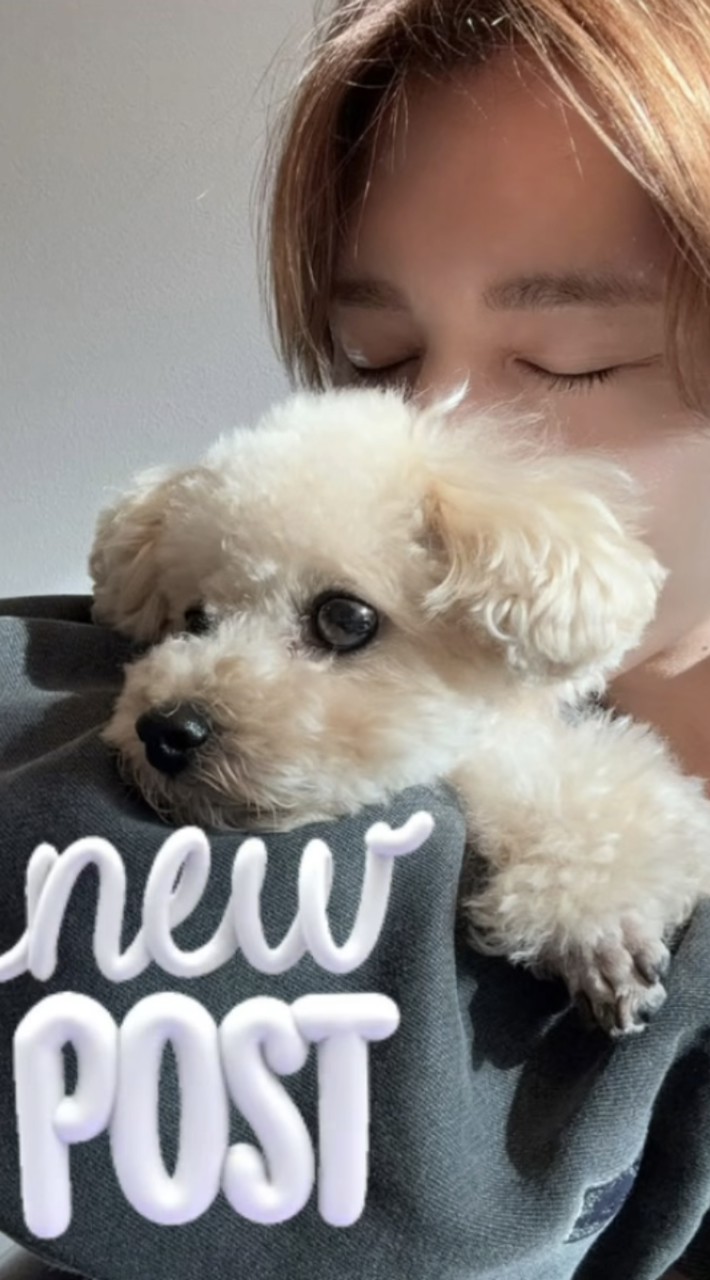 山田涼介くんネタバレと、妄想する部屋♥