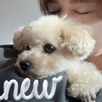 山田涼介くんネタバレと、妄想する部屋♥