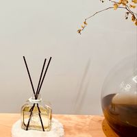 伴旅心理體系講座與podcast分享