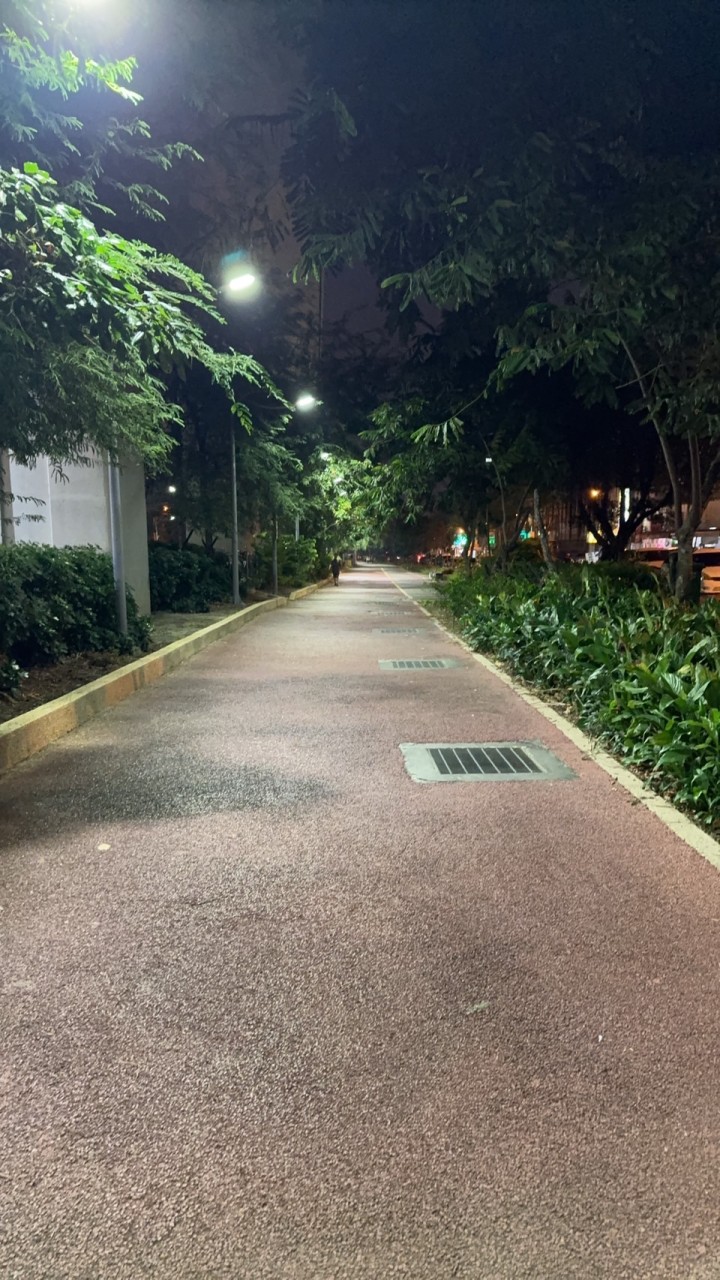 台中 綠空廊道 （運動休閒）