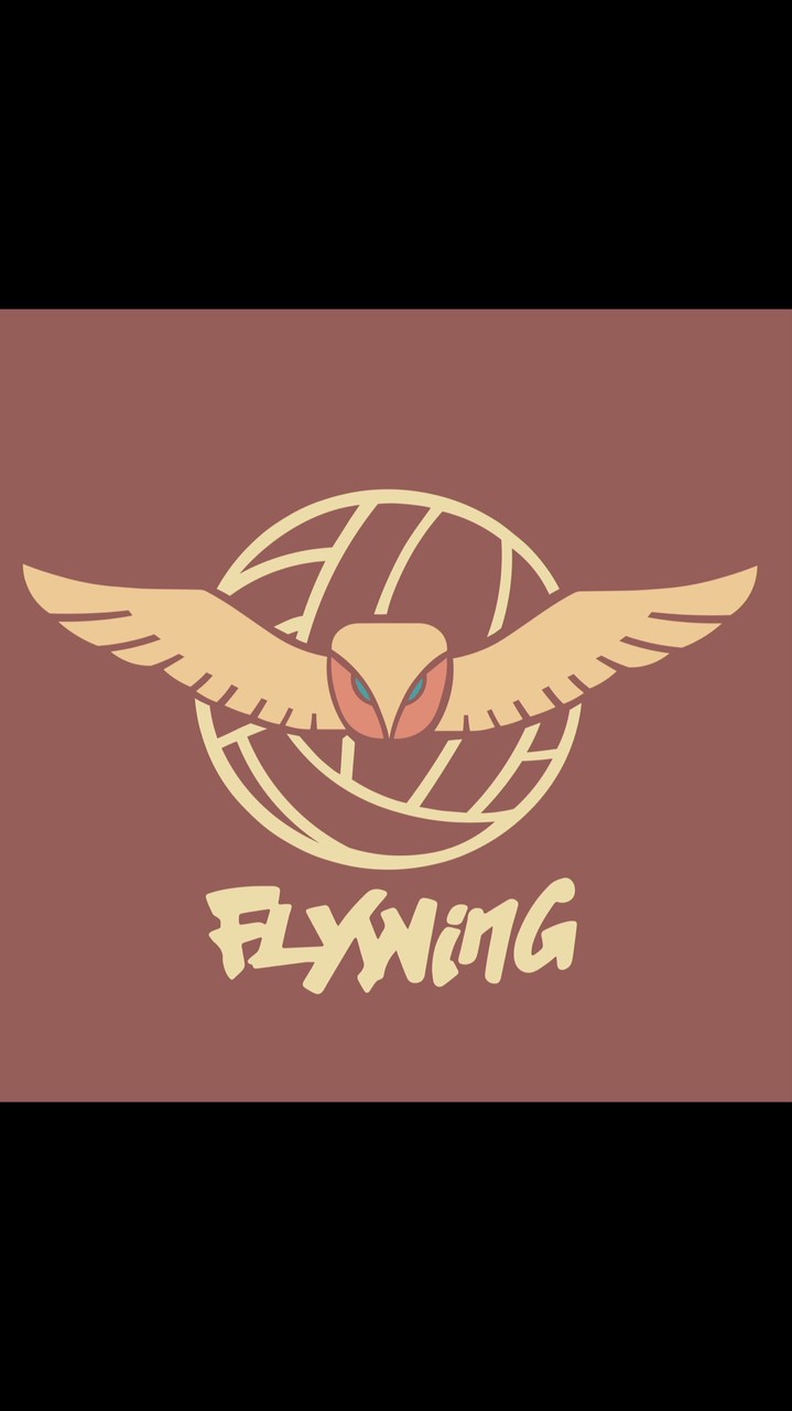 新莊飛翼FLYWING排球館