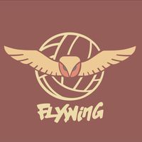 新莊飛翼FLYWING排球館