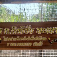 ก.กิตธิชัย พะเยาไก่ชน