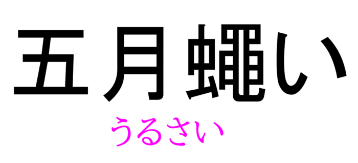 五月蠅い って読める 読めない 読みたい漢字ファイル Vol 37