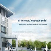 Lawyer 48
