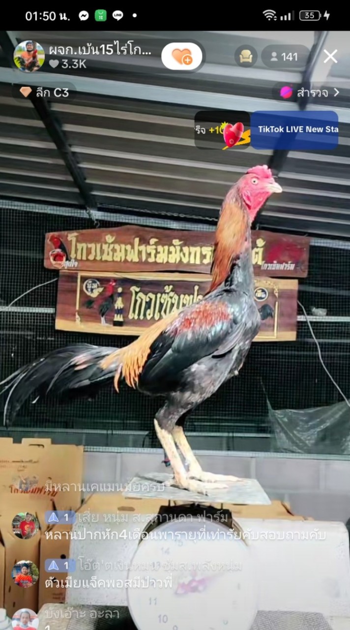 บังเอ๊าะ