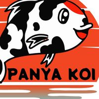 PANYA KOI