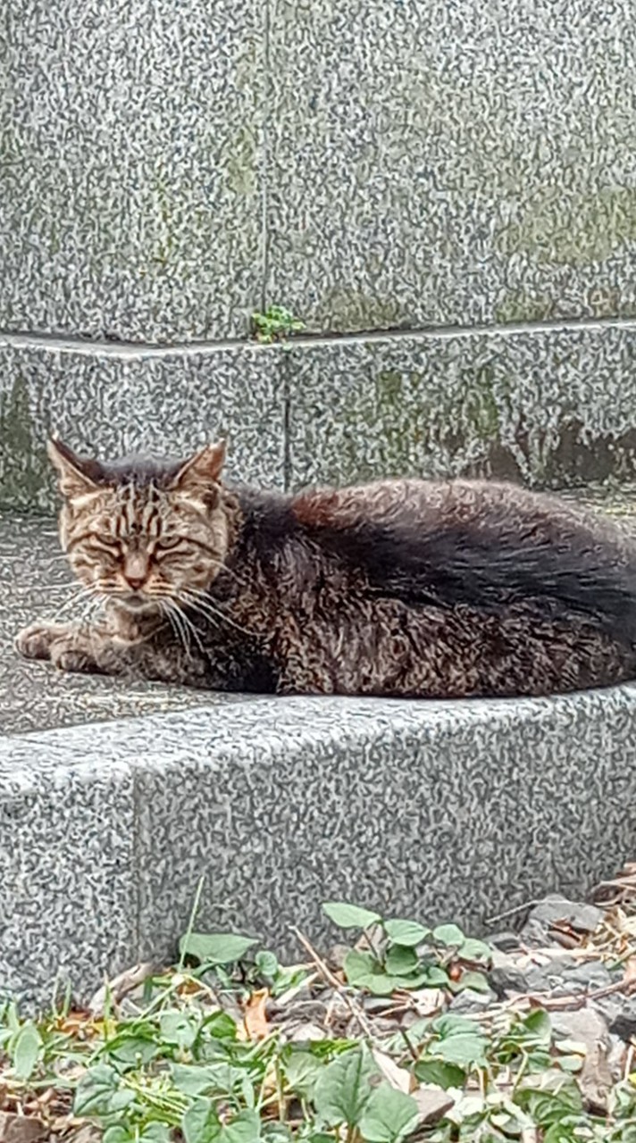 来い‼️全緩だっつってんの😭
