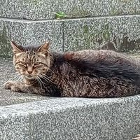 来い‼️全緩だっつってんの😭