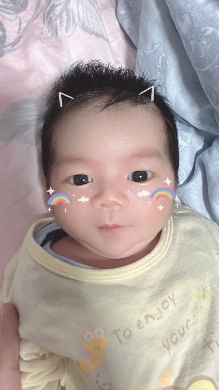小小蜜蜂🐝
