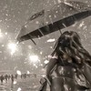 圖片、素材的天地