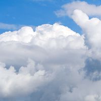 人間。