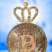 Blockchain ✧ෆ 合約&現貨VIP俱樂部