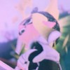 すぷらしよー✌︎(　˙-˙　)✌︎