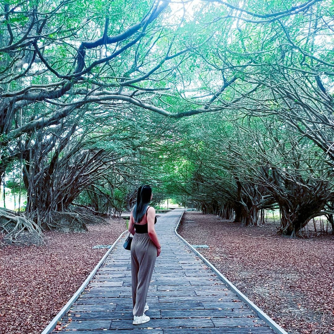 長勝營區 @sunny88 9 2