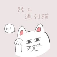 路上遇到貓🐈日本選物代購