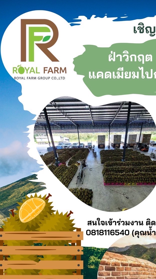 รอยัลฟาร์ม 2025