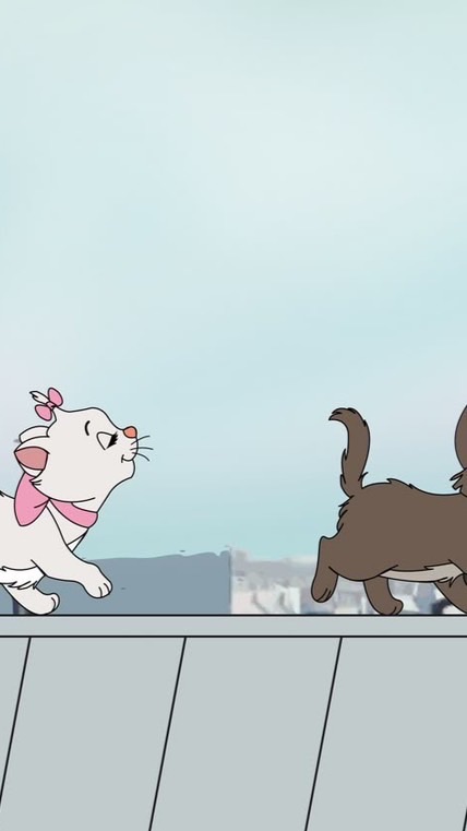 ㍓༷🐈 ตัวแทนแอคหารร้าน sydney 𓈒ׂ♡ `˚ ꒰ヾ