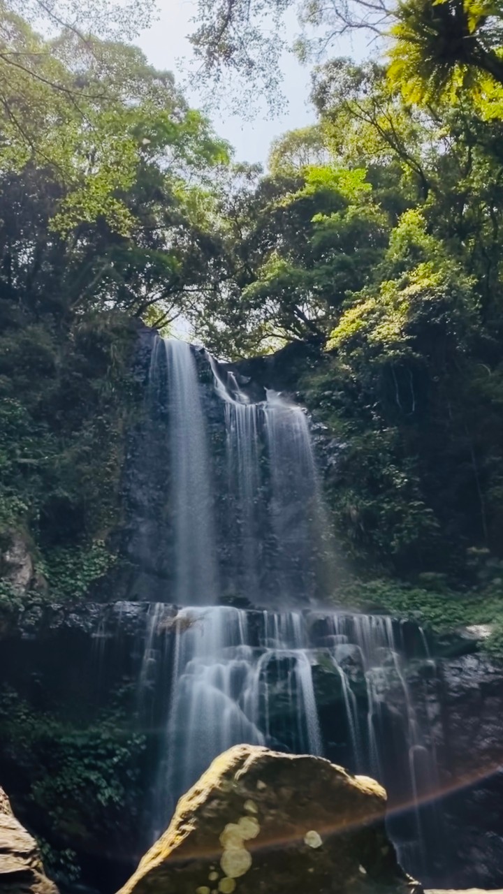 網美之旅-登山、健行、古蹟、文青、風景。