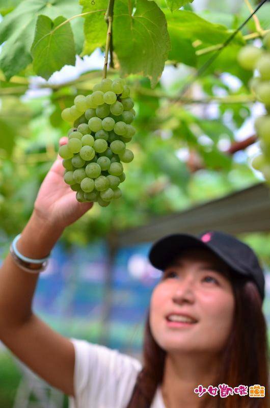 阿信的故鄉山形超好玩 庄內地區必去清單鶴岡市 @去旅行新聞網