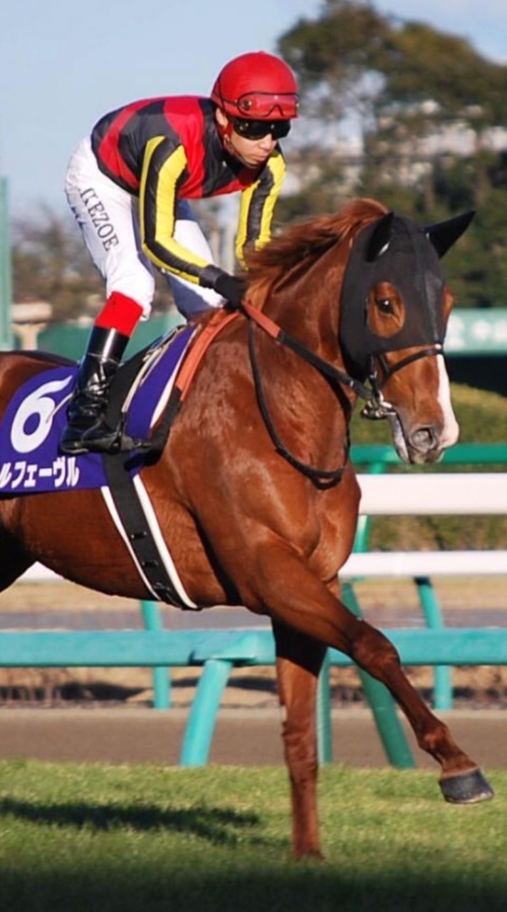 中央競馬&地方競馬ファンの集い🏇