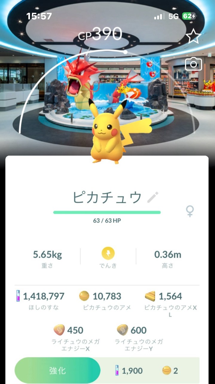 ポケモンGO初心者大歓迎フレンド、レイド、雑談など
