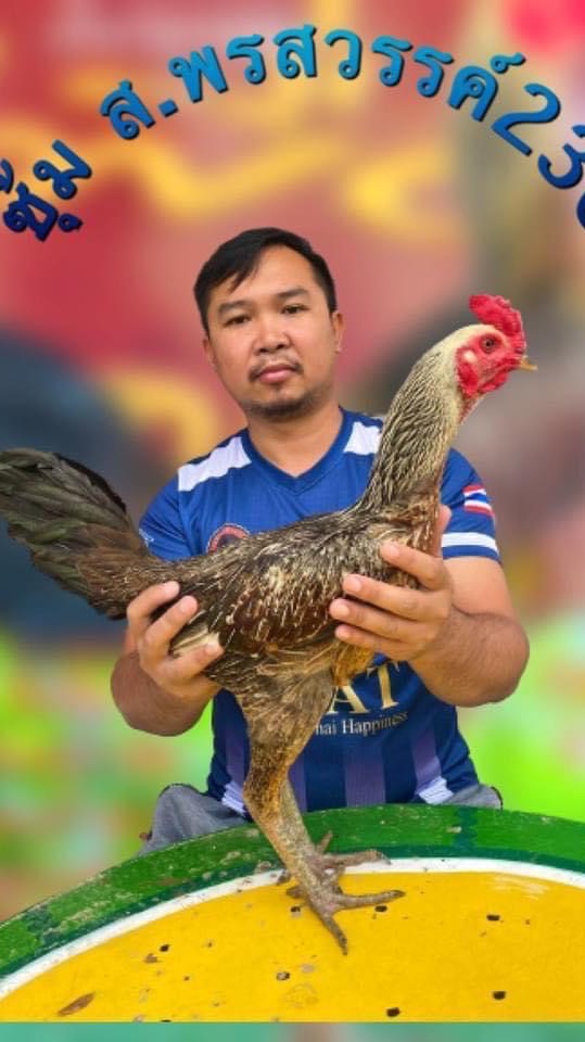 ส.พรสวรรค์230