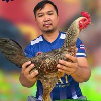 ส.พรสวรรค์230