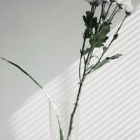 俞君の團購福利群