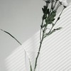 俞君の團購福利群