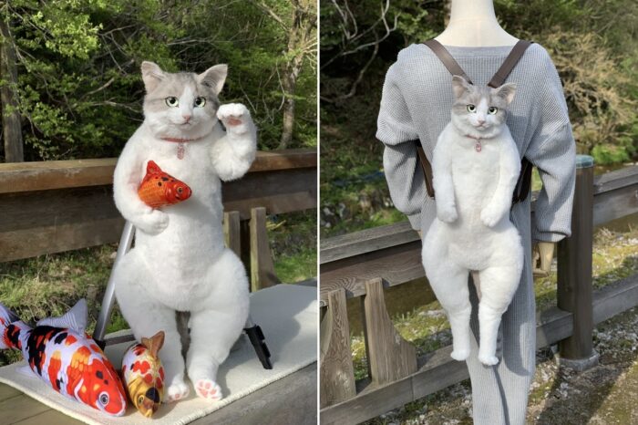 超逼真貓咪包貓製作pico