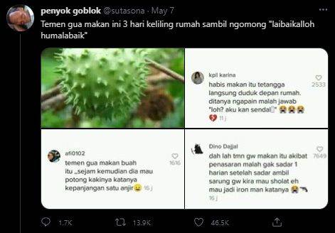 Efek samping makan kecubung