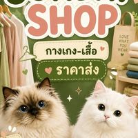 SUNDAY SHOP (กางเกง-เสื้อราคาส่ง)