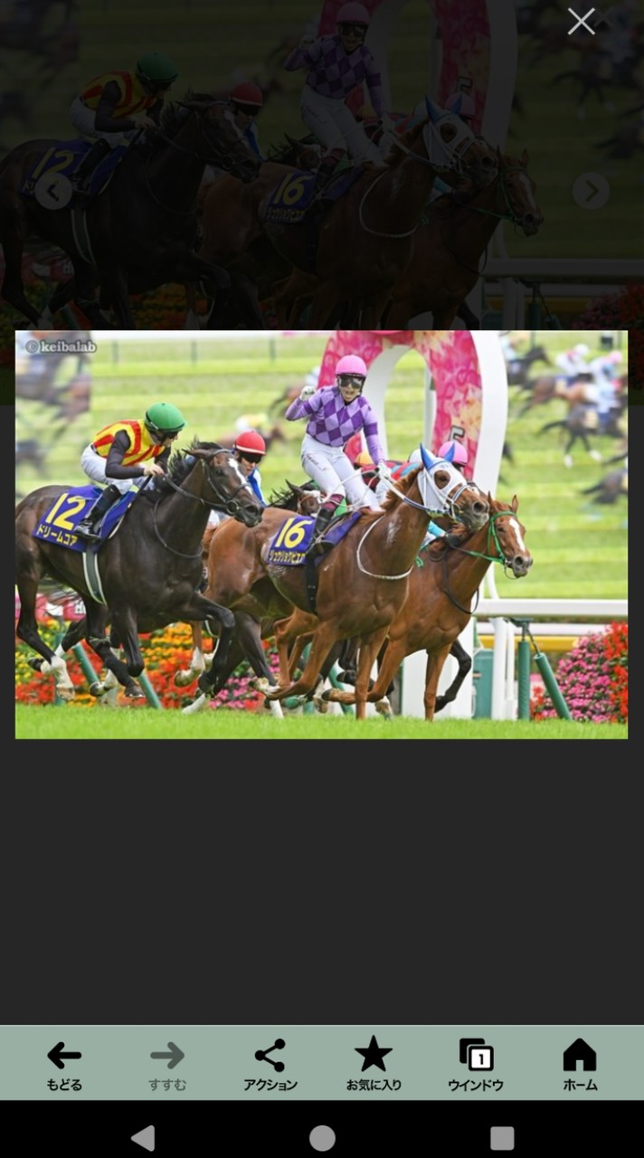 競馬ファンの集い🏇💨