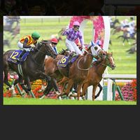 競馬ファンの集い🏇💨