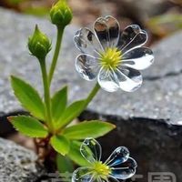 南科新天地代購團購區