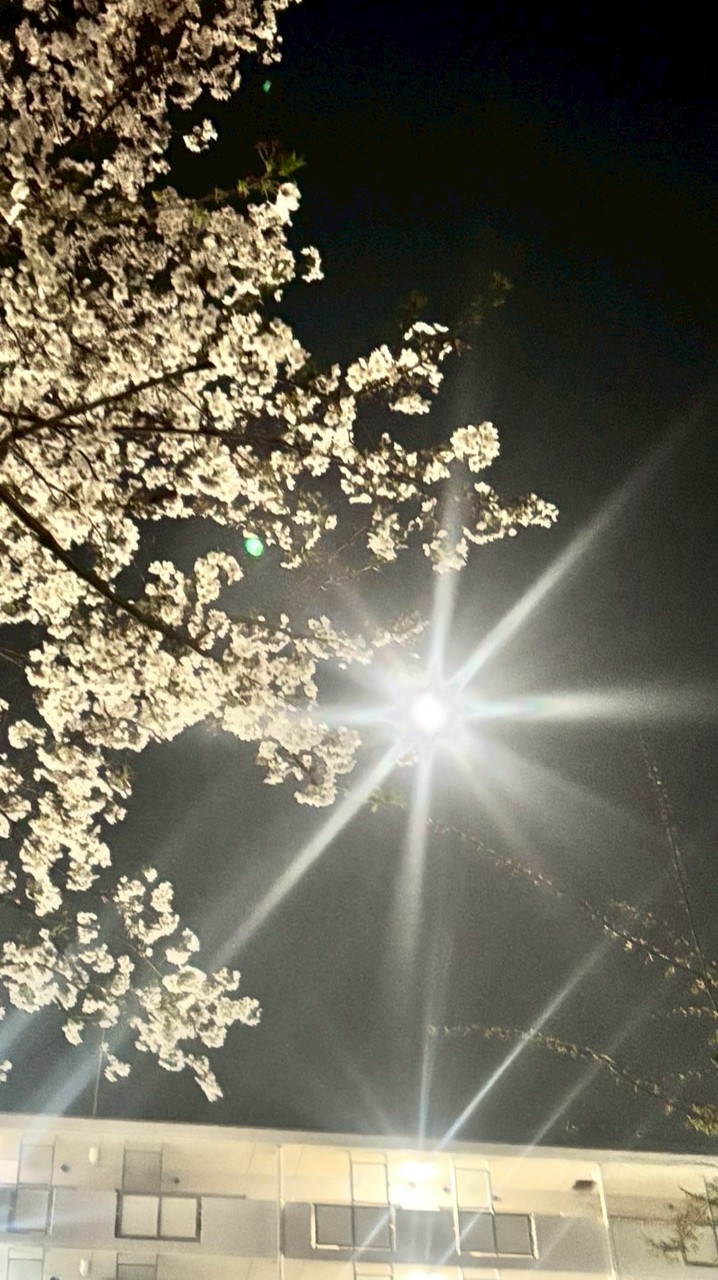 5月24日拓巳さんと苫米地先生講演会