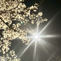 5月24日拓巳さんと苫米地先生講演会