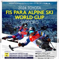FISパラアルペンワールドカップ実行委員会