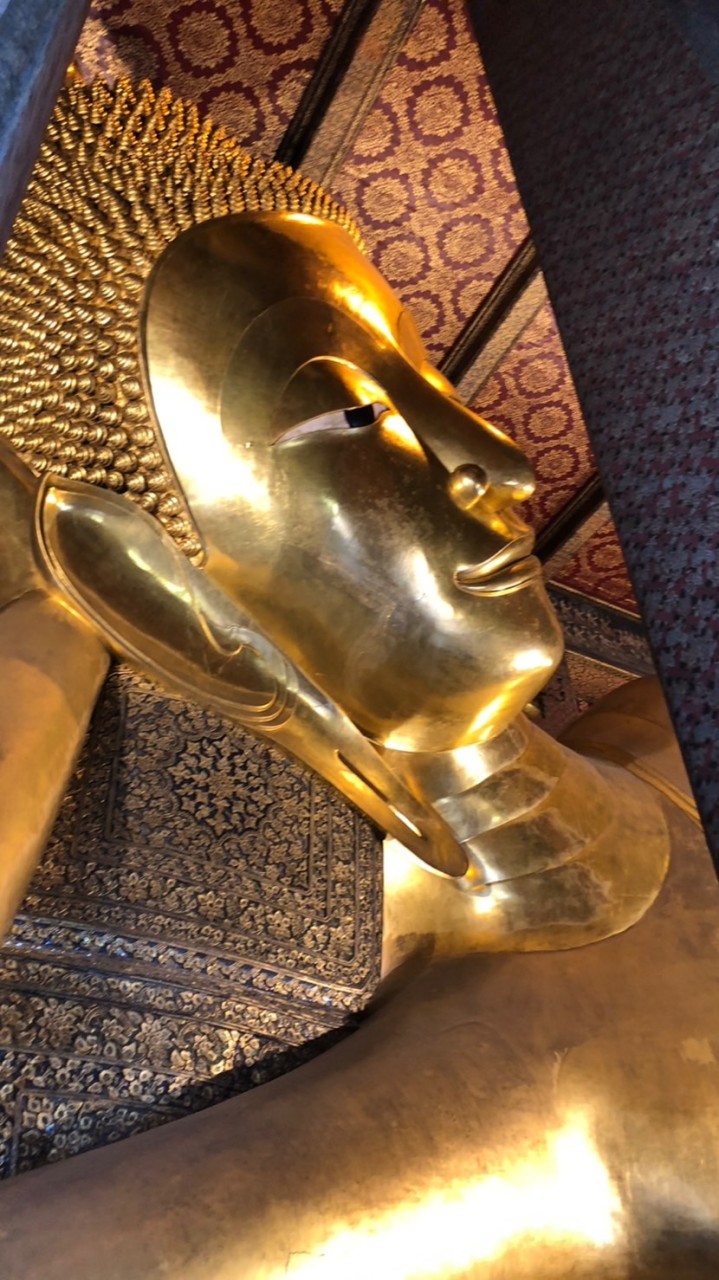 タイ出竿2023
