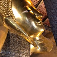 タイ出竿2023