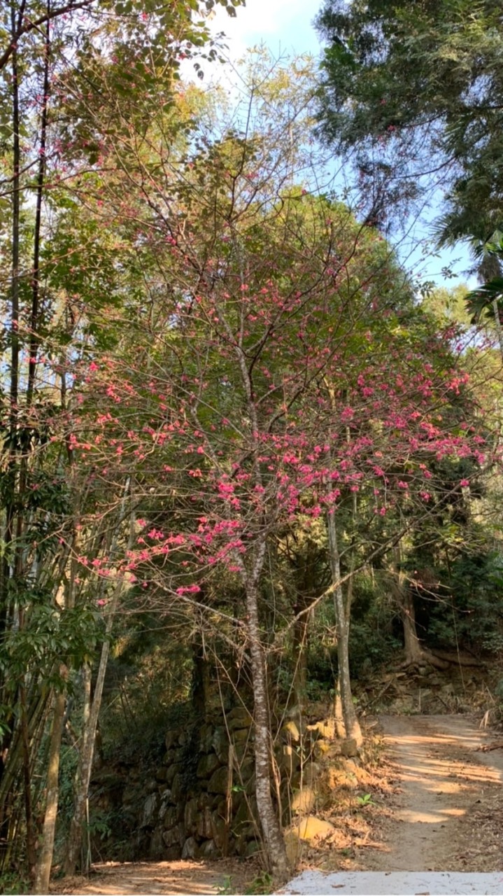 廣芳悦喜🔅健康新知、醫食同源🔅