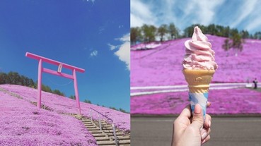 讓白雪化成花海！春夏的北海道，每一處都是絕美的 IG 照背景！