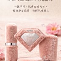 卡麗斯南區總監/首席會議群組