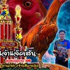 ซุ้ม เจตริน ฟาร์มพม่ายูนนาน